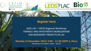 FINANCE AND INVESTMENT MOBILIZATION FOR BIOENERGY PROJECTS IN LAC